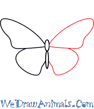 300x350 How To Draw A Butterfly - Drawing Butter