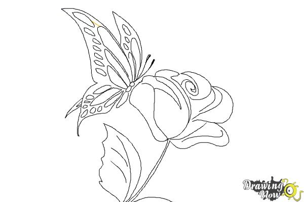 600x400 How To Draw A Butterfly On A Flower - Drawing Butter