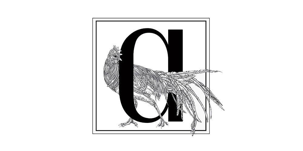 1000x500 The Day Project Days Present The Artsy Rooster Studio - Drawing C