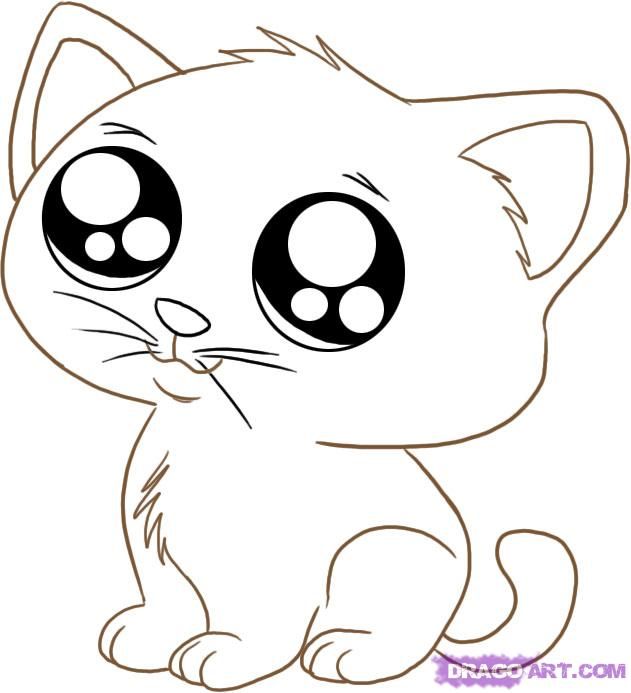 631x693 Big Cat Eyes Coloring Pags How To Draw An Anime Cartoon Kitty - Drawing Cartoon Animation