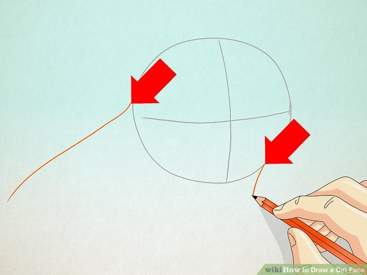 728x546 How To Draw A Cat Face Steps - Drawing Cat Faces On A Person