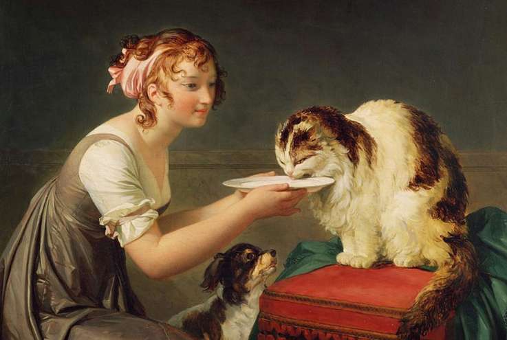 737x495 legends about cats from around the world mental floss - Drawing Cat Faces On A Person