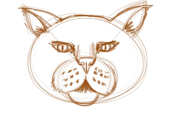 550x384 How To Draw A Cat Face - Drawing Cat Faces On A Person