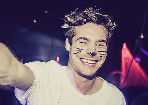 512x364 thevaults cat face - Drawing Cat Whiskers On Your Face