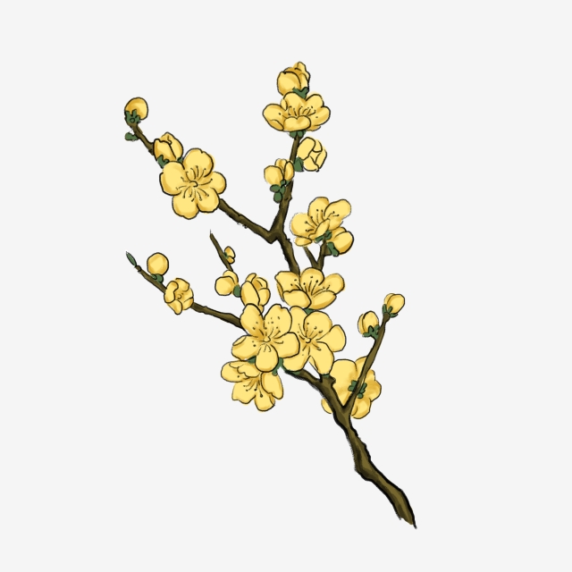 640x640 drawing ramadan, illustration, watercolor, drawing clipart png - Drawing Clipart Free