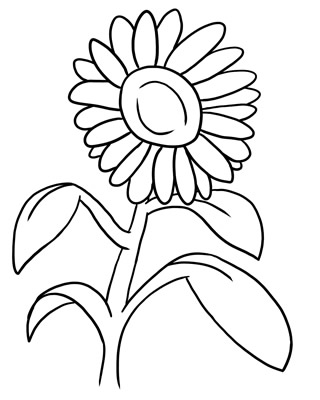 320x400 Flower Drawing Clipart - Drawing Clipart Free