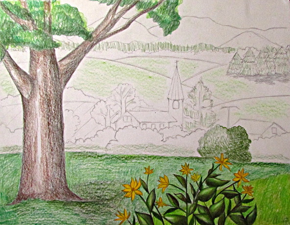 592x460 Color Pencil Landscape Drawing - Drawing Color Pictures
