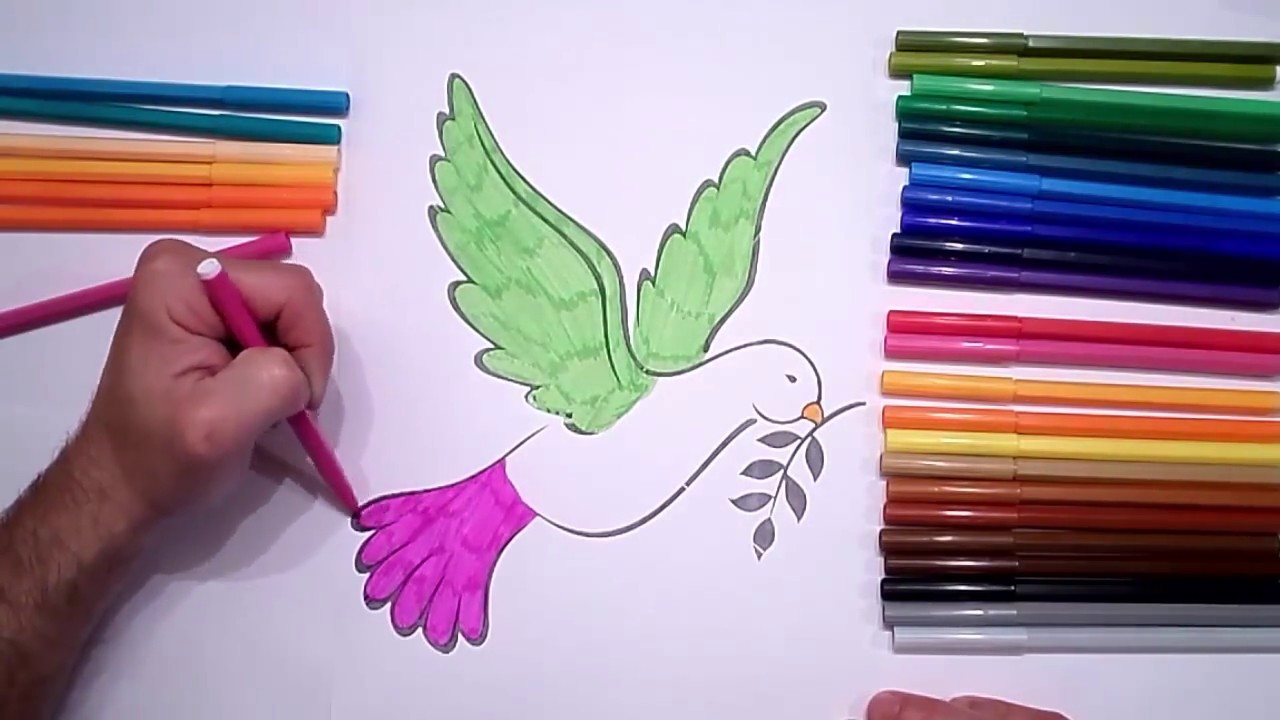 1280x720 How To Draw And Color Dove Coloring Pages For Kids - Drawing Color Pictures