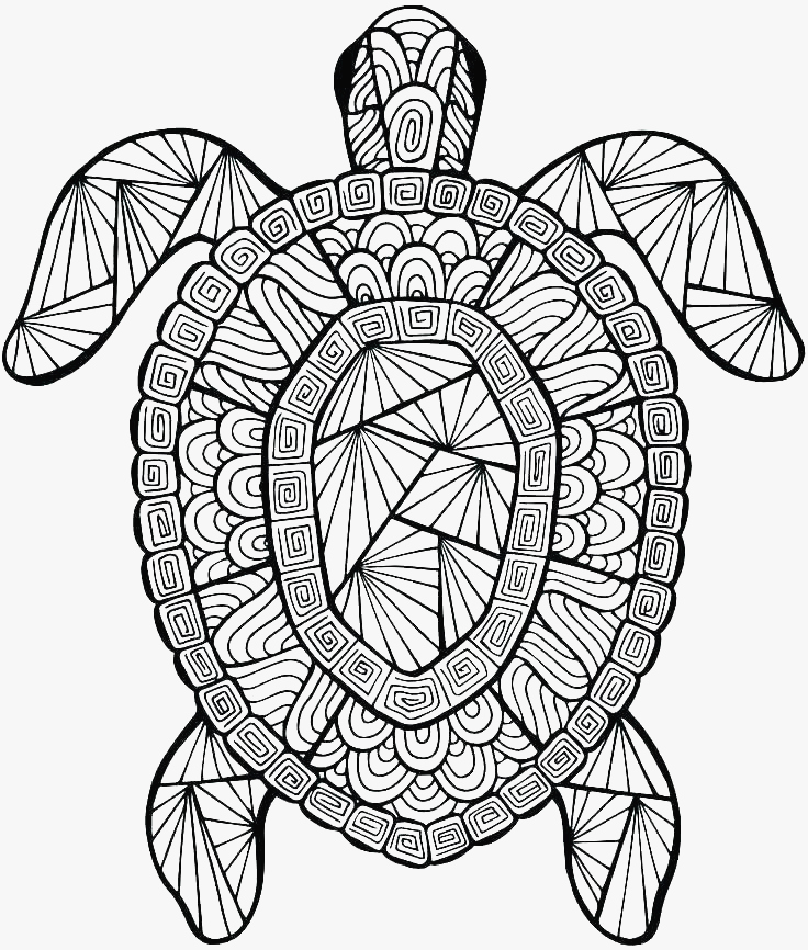 736x866 Coloring Pages Coloring Sea Turtle Cartoon Finding Dory Coloring - Drawing Coloring