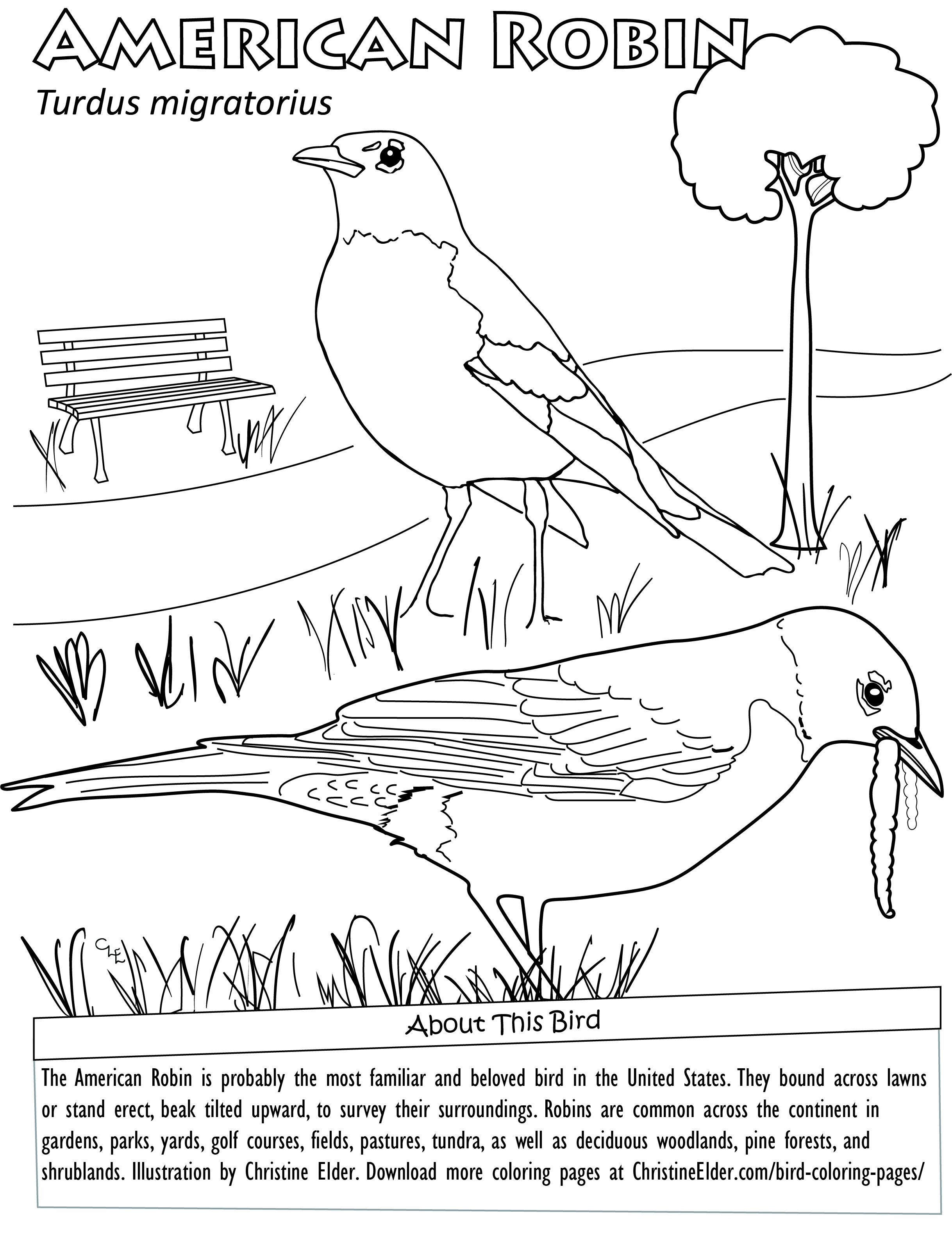 2437x3167 Bird Coloring Pages For Kids - Drawing Coloring Pages