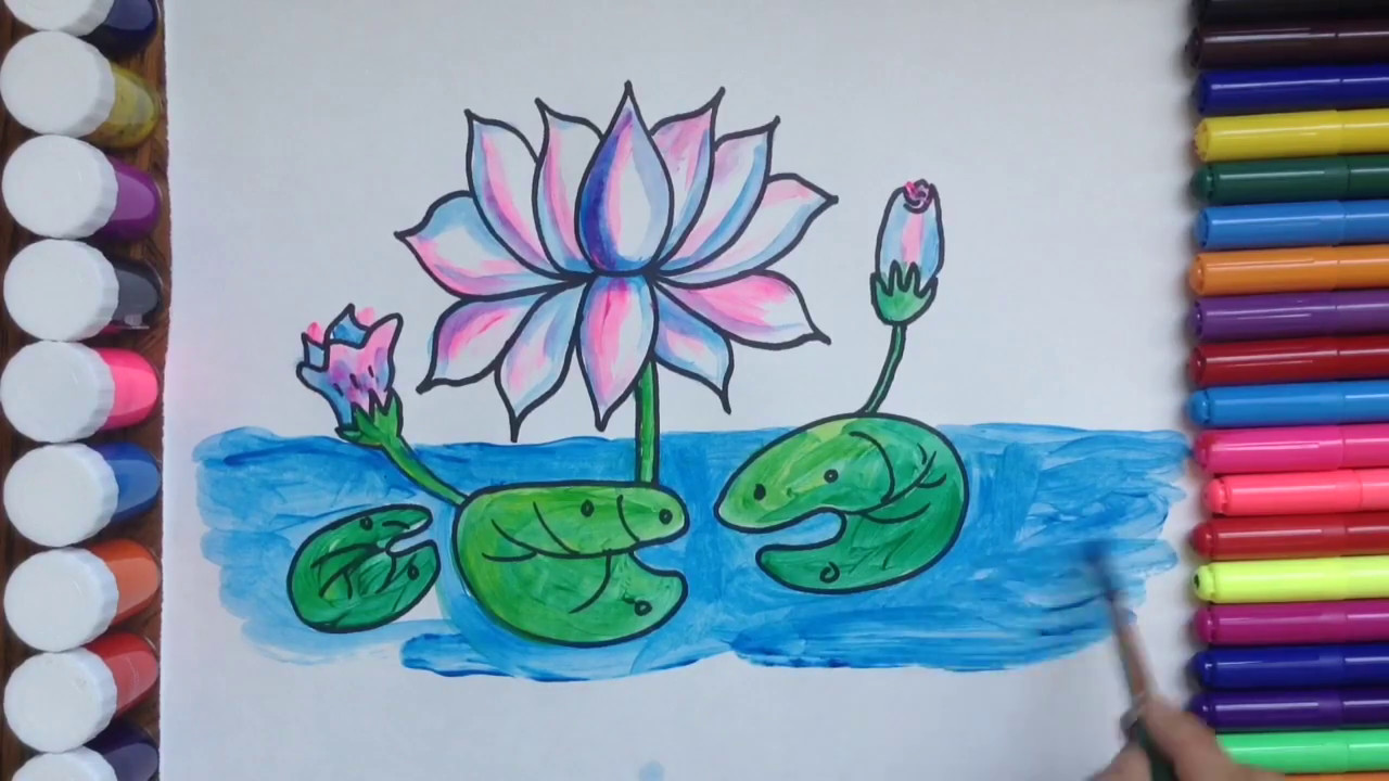 1280x720 How To Draw And Colour Flower Drawing And Colouring Lotus For Kids - Drawing Colour
