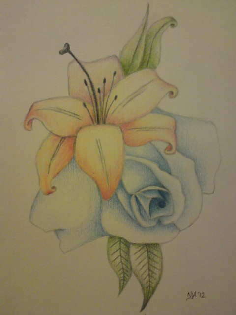 480x640 New Colour Drawing - Drawing Colour