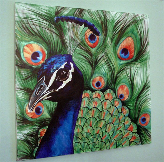 700x692 Peacock Drawings Peacock Drawing With Colour Peacock - Drawing Colour