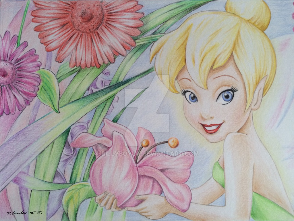1024x768 Tinker Bell Colour Pencil Drawing - Drawing Colour