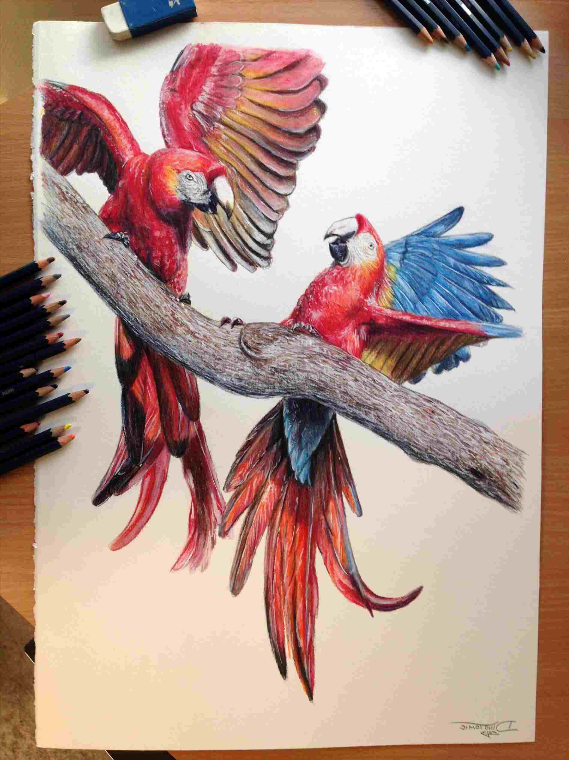 1899x2533 Pencil Sketch Coloured Sketches Colored Rhdrawingslycom Colour - Drawing Colour