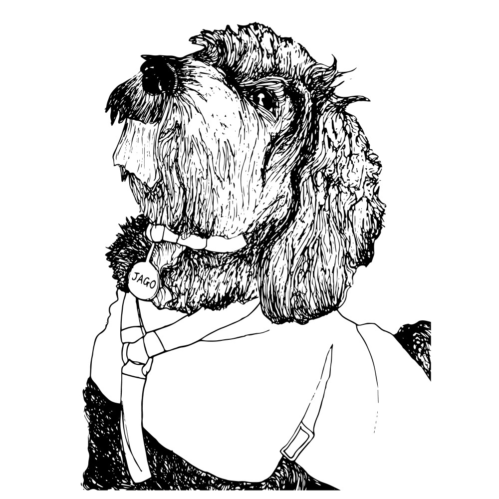 1000x1000 Dog Drawing Commissions - Drawing Commissions