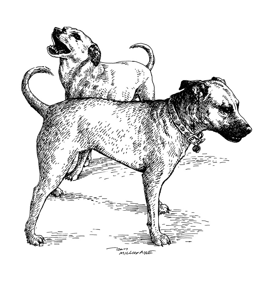 866x949 Fine Art Prints! Drawing Commissions! - Drawing Commissions