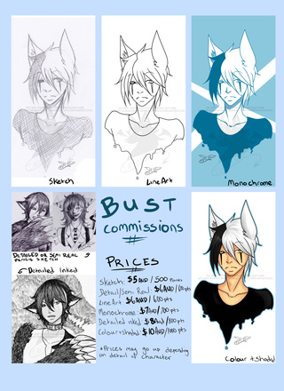 320x440 bust commission price sheet if interested drop me a note - Drawing Commissions Prices