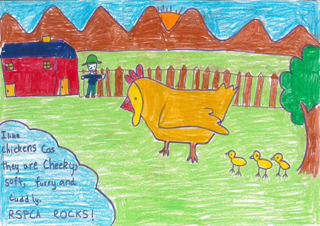 650x459 competitions rspca drawing competition winner runner up ages - Drawing Competition