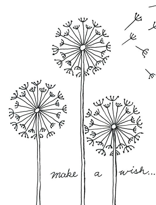 534x700 Draw A Dandelion Kbn Art Projects For Kids Drawings, Dandelion - Drawing Contact