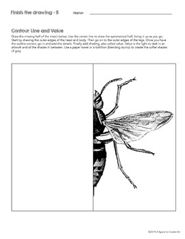 270x350 Finish The Drawing Worksheets - Drawing Contour Lines Worksheet