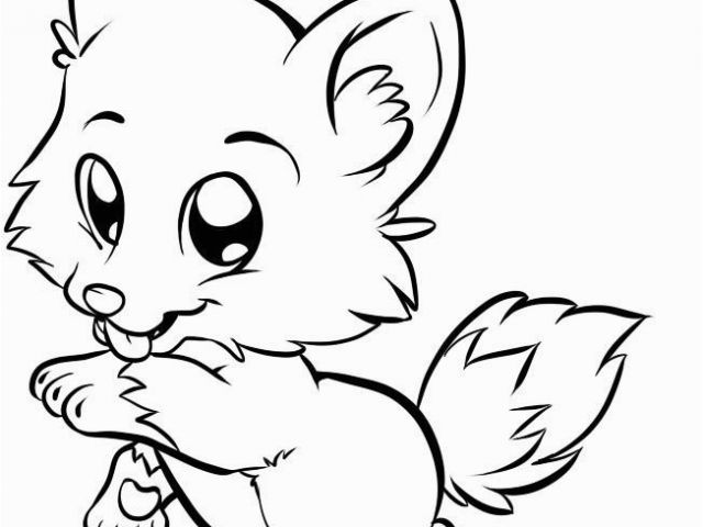 640x480 cute baby animal coloring pages to print cute cartoon animals - Drawing Cute Baby Animals
