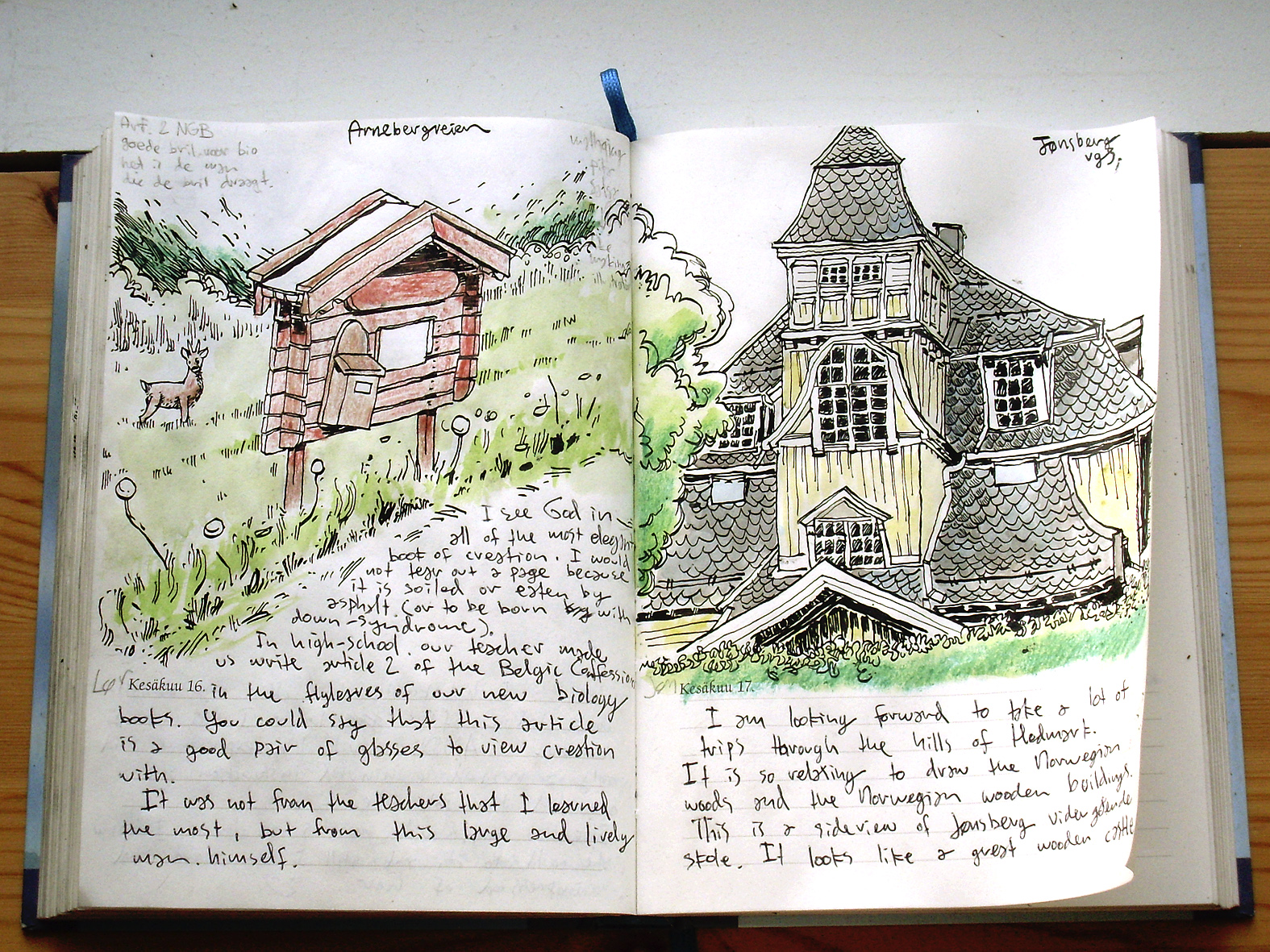 1575x1181 jan illustration blog drawing diary and june - Drawing Diary