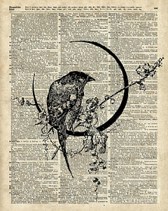 240x300 Vintage Dictionary Drawings Fine Art America - Drawing Dictionary