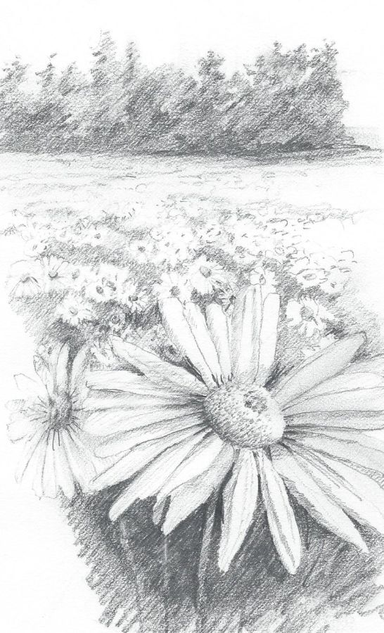 546x900 deeper into depth love to draw - Drawing Distance