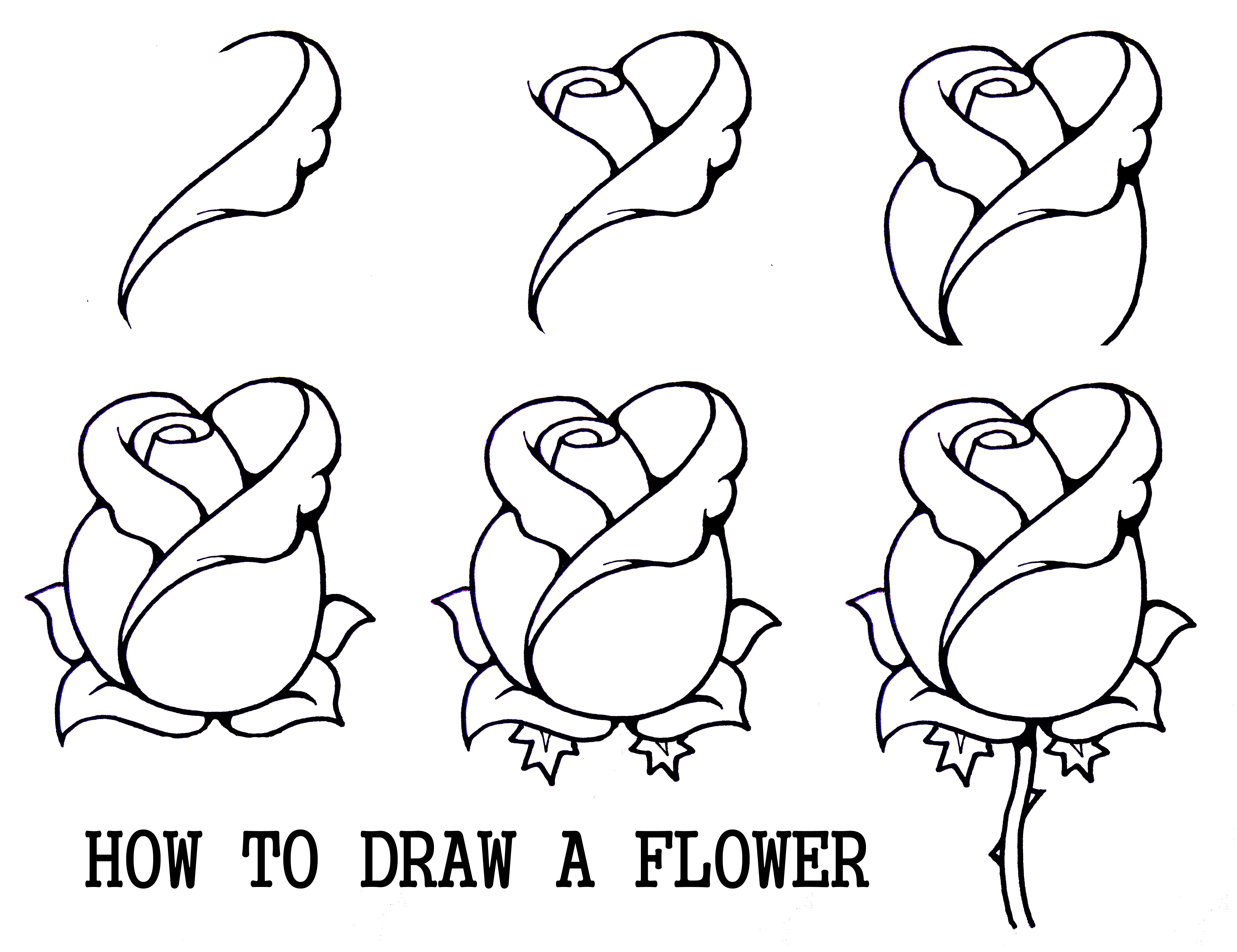 7087x5459 Flower Drawings Free Download - Drawing Download