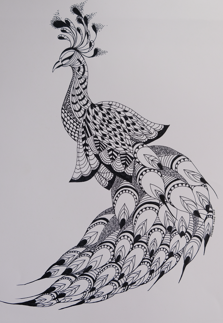 744x1080 drawings shubnum khan - Drawing Drawing