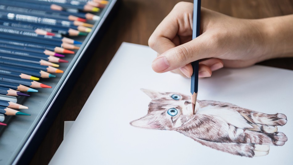 950x534 Learn How To Draw - Drawing Drawing Images