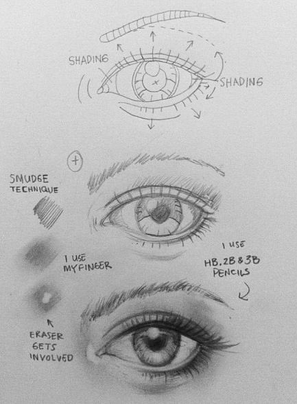 433x589 How To Draw An Eye - Drawing Examples
