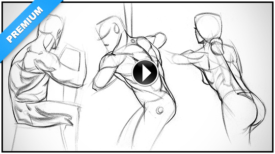 560x315 how to draw the lower back - Drawing Examples
