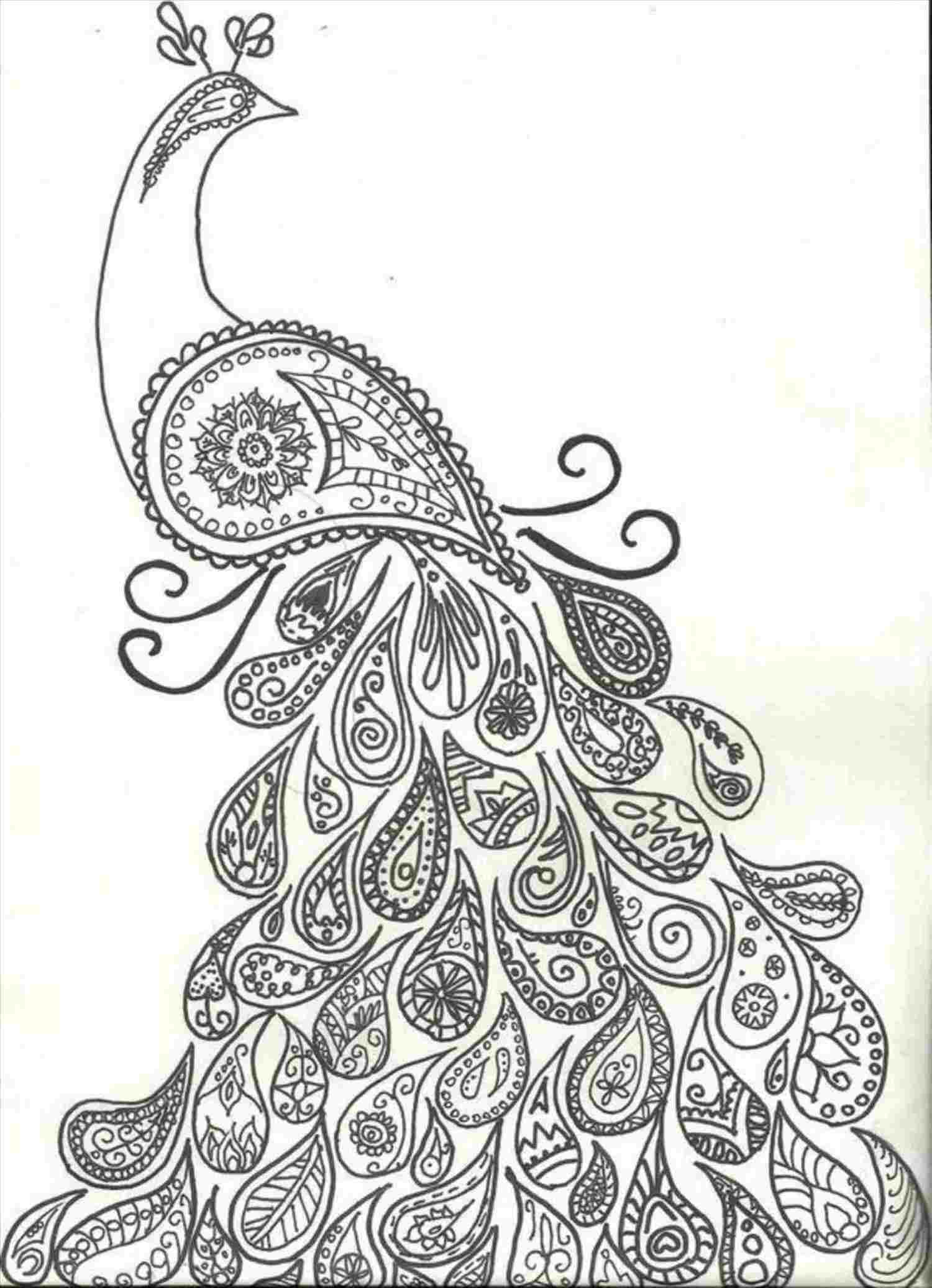 1500x2073 Drawing Of Dancing Peacock - Drawing Expert