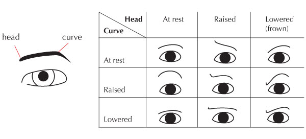 600x272 human anatomy fundamentals mastering facial expressions - Drawing Expressions