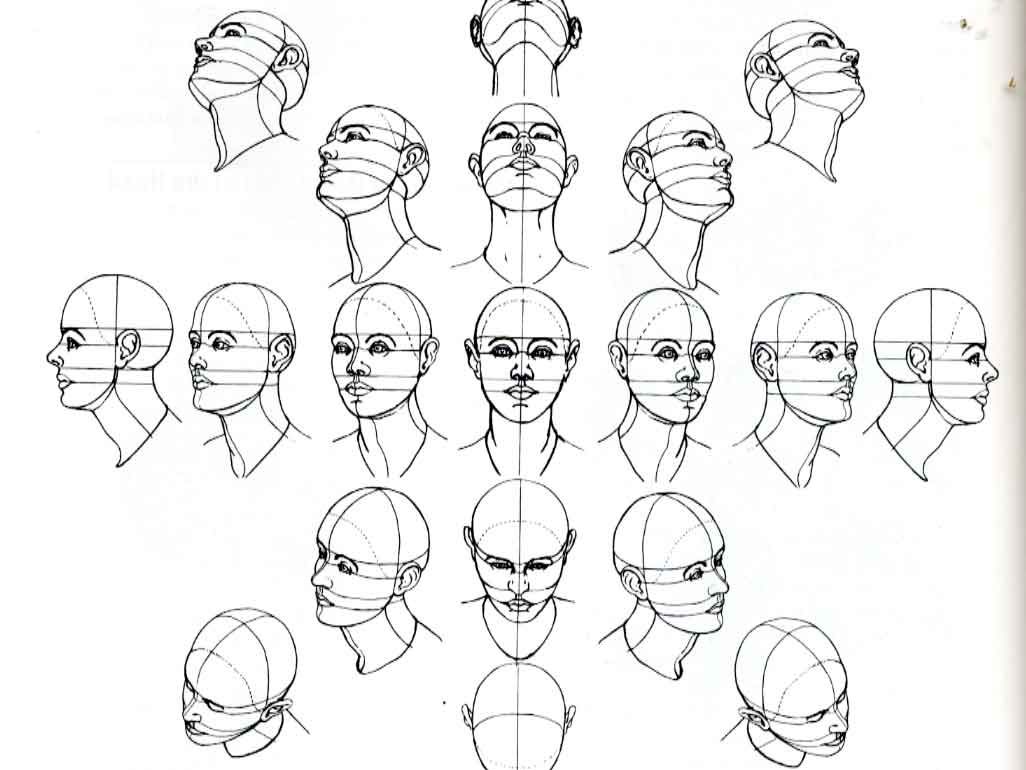 1026x770 face angles drawing projects drawings, art, brain drawing - Drawing Face Angles