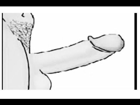 480x360 Funny Dirty Drawing Fails Funny Dirty Drawing - Drawing Fails