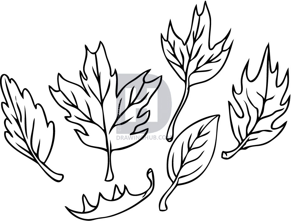 928x706 How To Draw Leaves, Step - Drawing Fall Leaves Step By Step