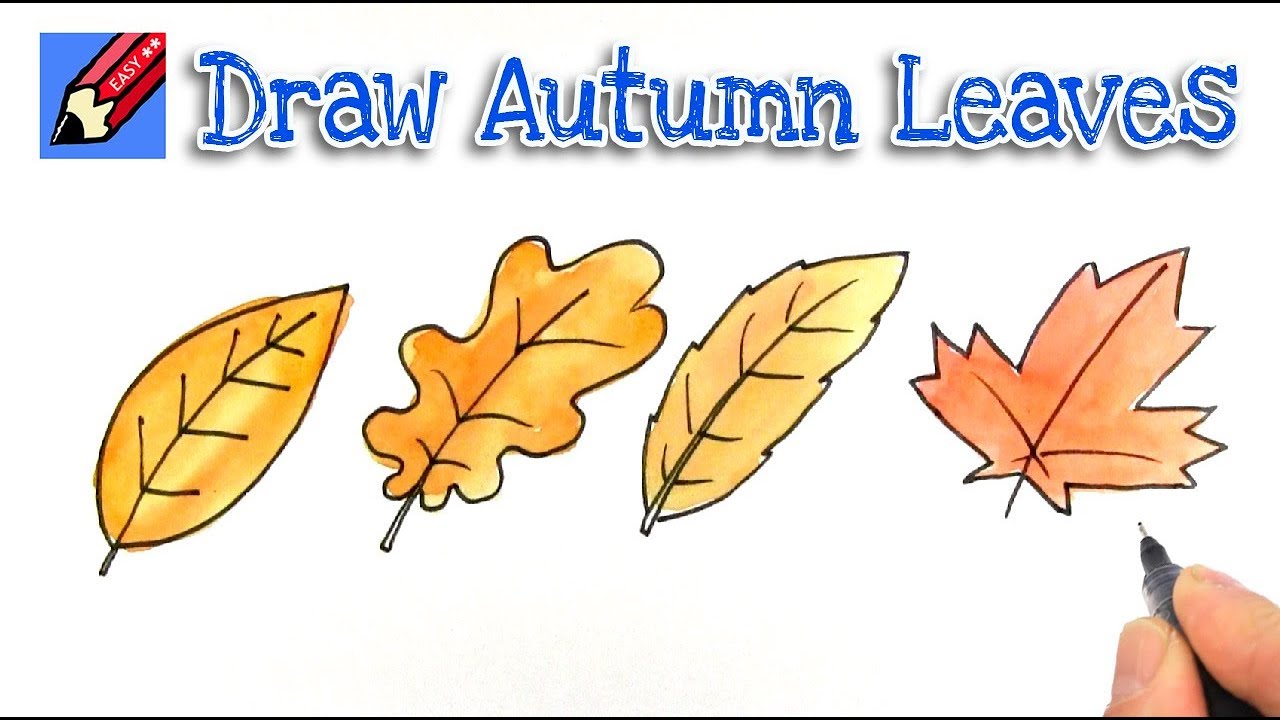 Drawing Fall Leaves Step By Step at Explore