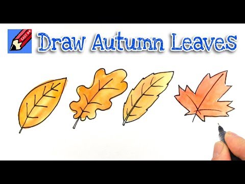480x360 How To Draw Autumnfall Leaves Shoo Rayner Author - Drawing Fall Leaves Step By Step