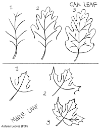 200x252 Image Result For How To Draw Leaves Step - Drawing Fall Leaves Step By Step