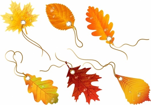 529x368 Autumn Scenery Drawing Falling Leaves Free Vector Download - Drawing Fall Leaves Step By Step