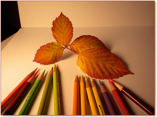 500x375 Drawing Free Ezine - Drawing Fall Leaves Step By Step