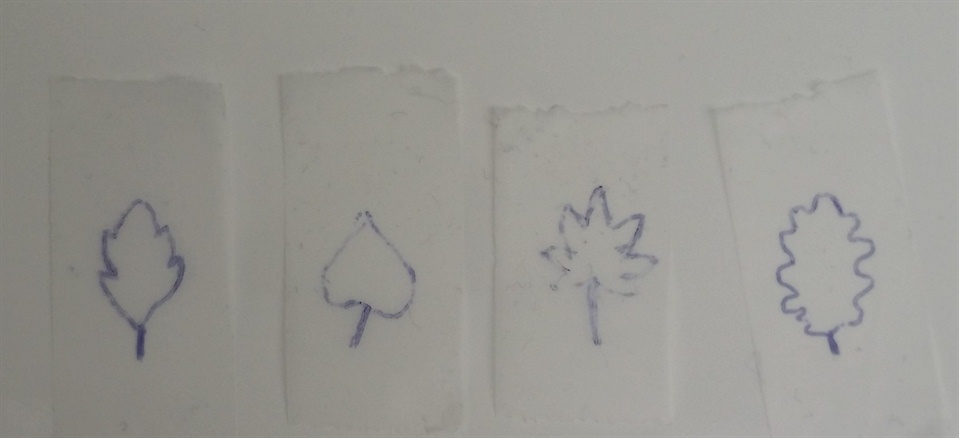 959x438 fall leaves nail art - Drawing Fall Leaves Step By Step