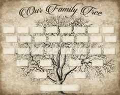 236x188 best family tree templates images drawings, family tree - Drawing Family Tree Free