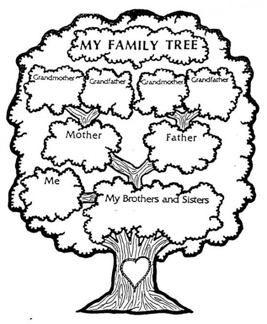 550x666 Free Pictures Of Family Tree Coloring Pages Colouring Pages - Drawing Family Tree Free