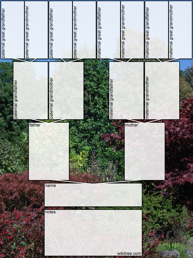 675x900 Free Printable Family Tree Diagrams - Drawing Family Tree Free