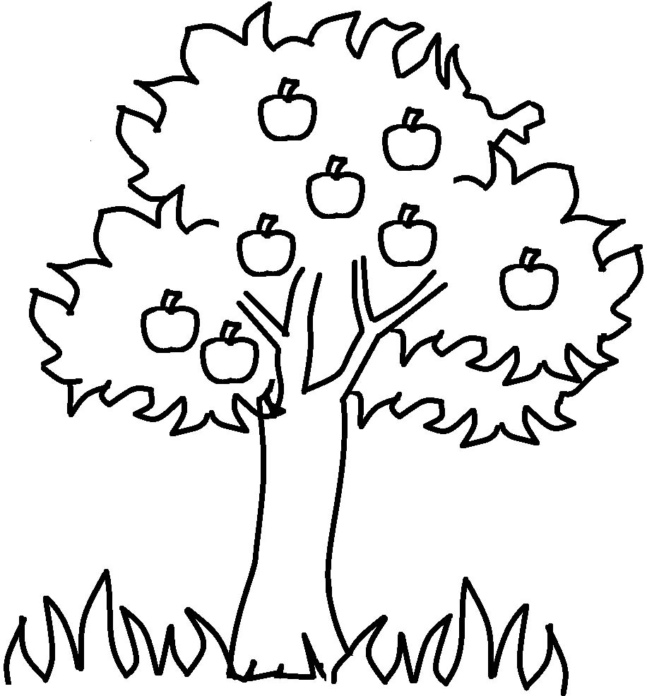 916x986 Coloring Pages Family Tree Drawing Free Decoratingoring - Drawing Family Tree Free