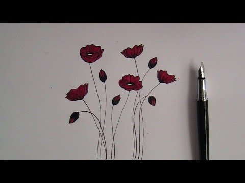 480x360 how to draw flowers for beginners easy version poppy flowers - Drawing Flowers For Beginners